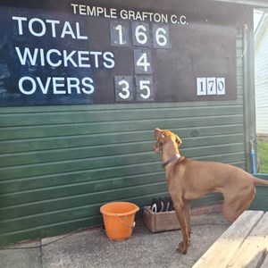 Temple Grafton Parish Council Temple Grafton Cricket Club