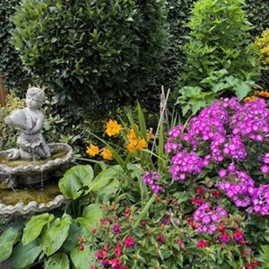 BETHERSDEN GARDENERS' SOCIETY Photo Gallery