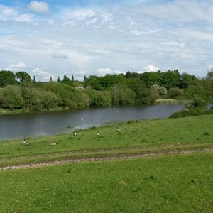 Moston Parish Council Parish Pics