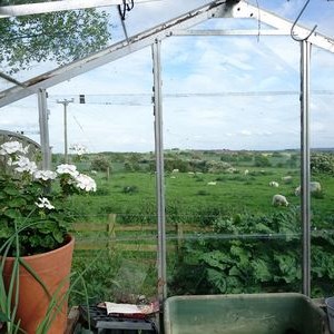 Shuttington and Alvecote Parish Council Gallery