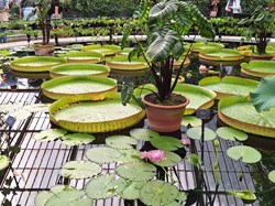 Probus Shelley Visits 2025