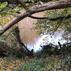 Asenby Parish Council Riverside Walk