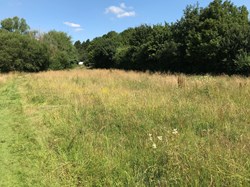 Bleasby Community Website Bleasby Grasshoppers