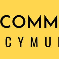 Brawdy Community Council The Role of Council