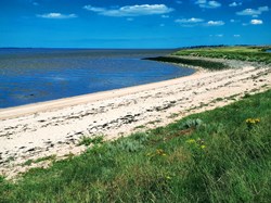 Save The Hoo Peninsula Home