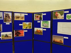 MINTING, GAUTBY & DISTRICT HERITAGE SOCIETY Village Halls