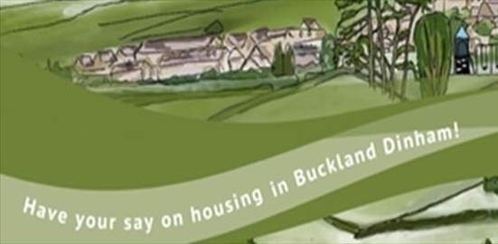Buckland Dinham Housing Needs Survey