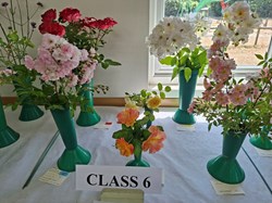 Bucklebury and Marlston Horticultural Society Summer Show 2026