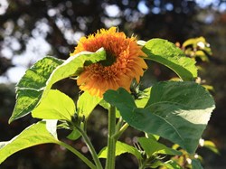 Photo by Helen McCormack