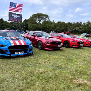 Louth & District Lions Classic Car Show