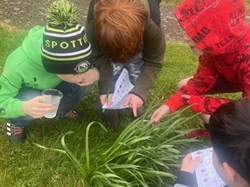 Tetcott, Church of the Holy Cross News