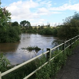 Shuttington and Alvecote Parish Council Gallery