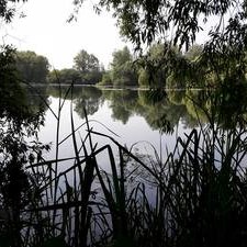 Shuttington and Alvecote Parish Council Gallery