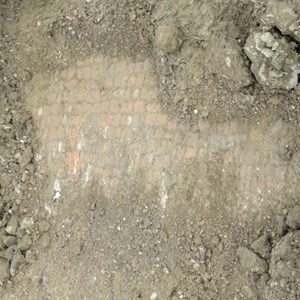 But the biggest surprise so far was finding a tessellated floor in trench 3 of the main villa.