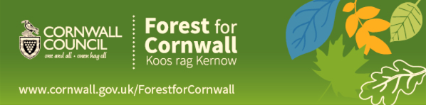 Germoe Parish Council Forest for Cornwall - Press Release