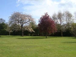 view of Southons Field towards Appledown Grange