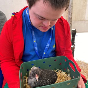 BOSP Brighter Opportunities for Special People  Work for BOSP