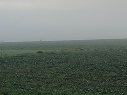 Back of The Dene towards Esseborne, last day of 2020 - credit:  Judy Turley