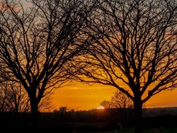 Farnsfield Parish Council Welcome