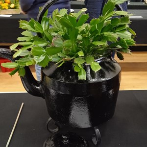 Mannings Heath & District Horticultural Society Photo Gallery