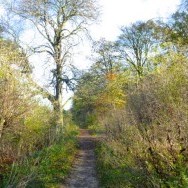 Burghwallis Parish Council Walks Around The Village