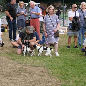 Goodworth Clatford Parish Council  Fete 2026 photos