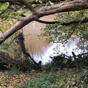 Asenby Parish Council Local Walks