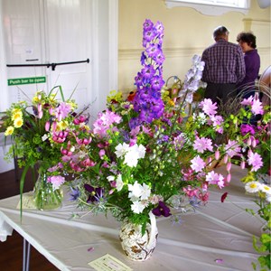Mickleham and Westhumble Horticultural Society July 2013 show pictures