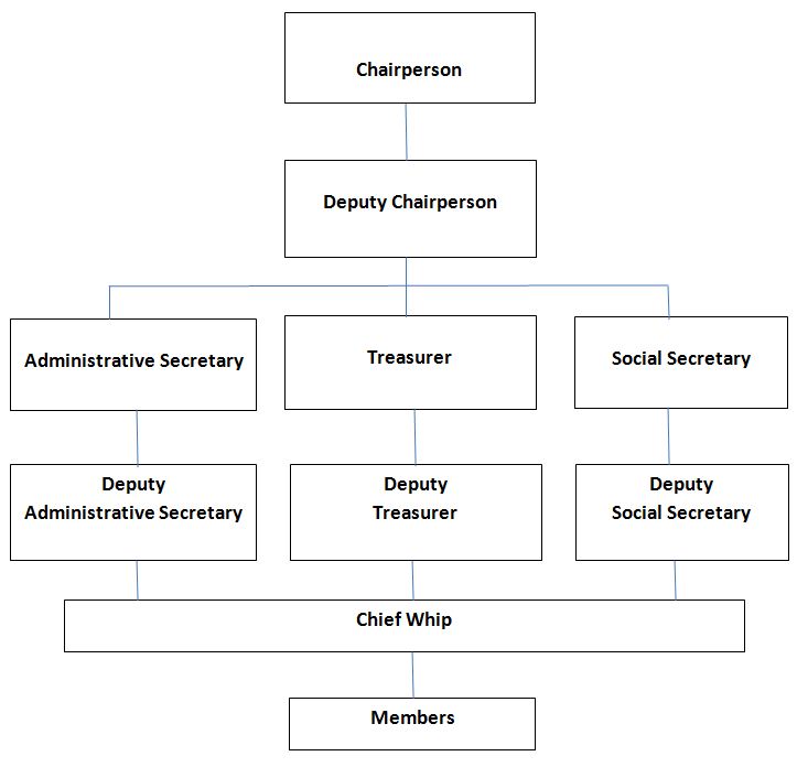 Association of Northeast England Cameroonians Structure