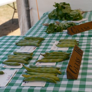 HBT Horticultural Society Photographs 2026