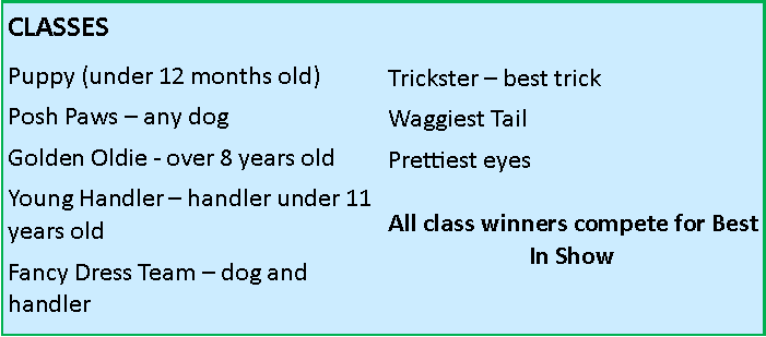 Midsummer Fair 2026 Fun dog show