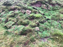 Turf Repairs on Nordy Bank