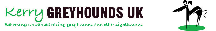 Cromer Community Association CIO Kerry Greyhounds