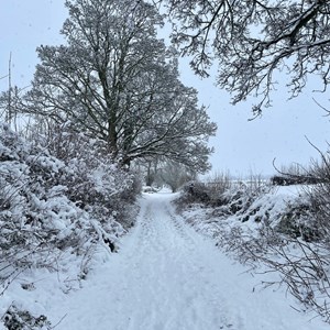 BISHOP MONKTON TODAY Snow January 2025