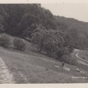 Great Wood c1925