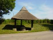 BOWDLER'S WELL, RIDLEY