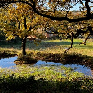 Hedgerley Parish Council Hedgerley Conservation