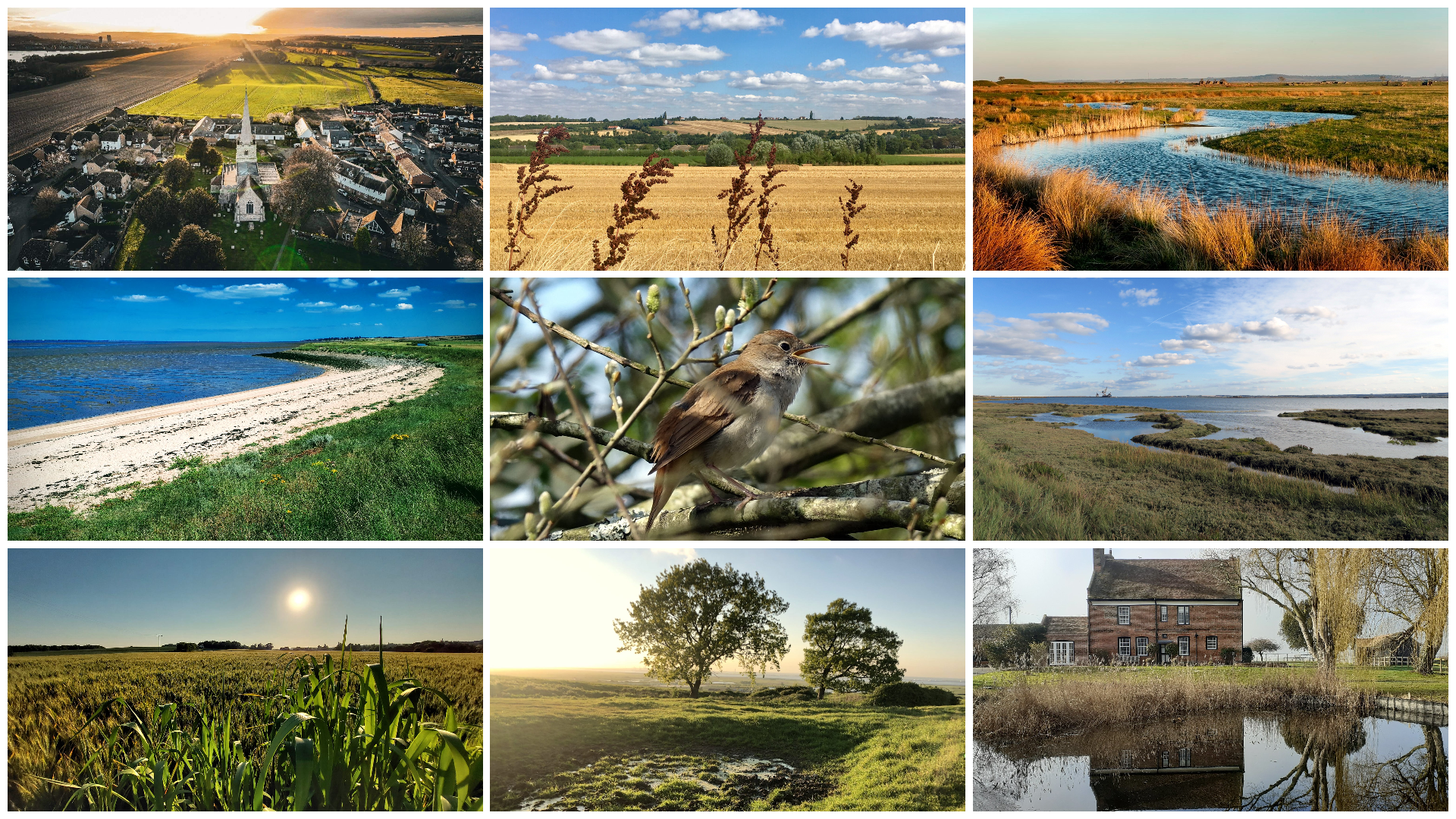 Save The Hoo Peninsula What Are We Protecting