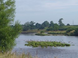 Photo by Phil Rowland