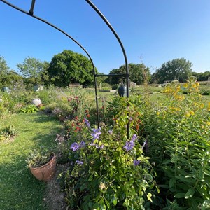 Benenden Parish Council Allotment Association