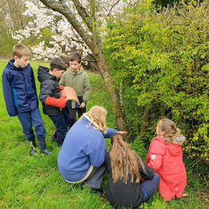 Sustainable Bourne Valley Hirst Meadow