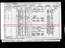 Census 1901