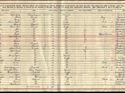 Census 1911