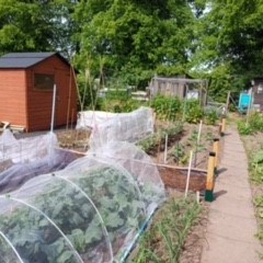 Balderton Parish Council Glebe Park Allotments