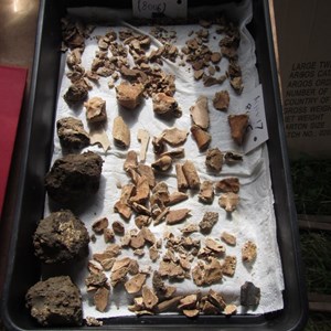 The lumps of mud on the left are what these fragments were in. The bones are not human but a broken skull and  vertebrae of animals yet to be determined.