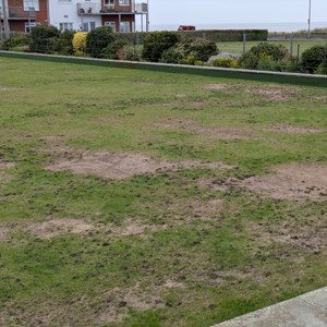 State of Green at The End of Season