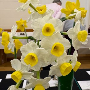 Mannings Heath & District Horticultural Society Photo Gallery