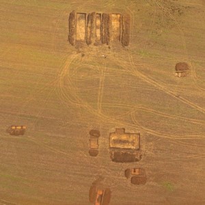 The site
