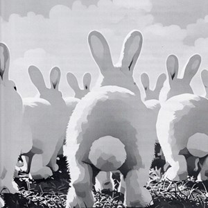 Berwick St James Parish 2025 - Archived