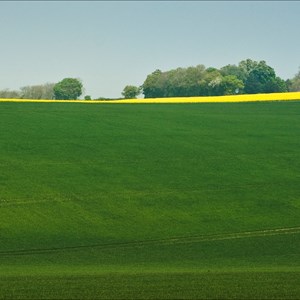 Gallery, Kingsclere Neighbourhood Plan